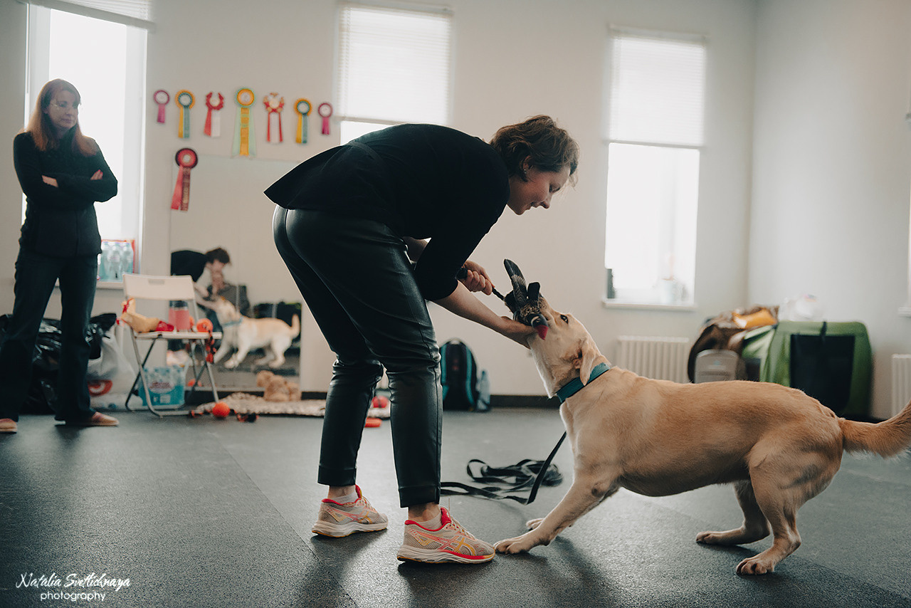 Семинар с Марией Рыбкиной «Игры с собаками» (24.02.2023). Фотограф-анималист Наталья Светличная