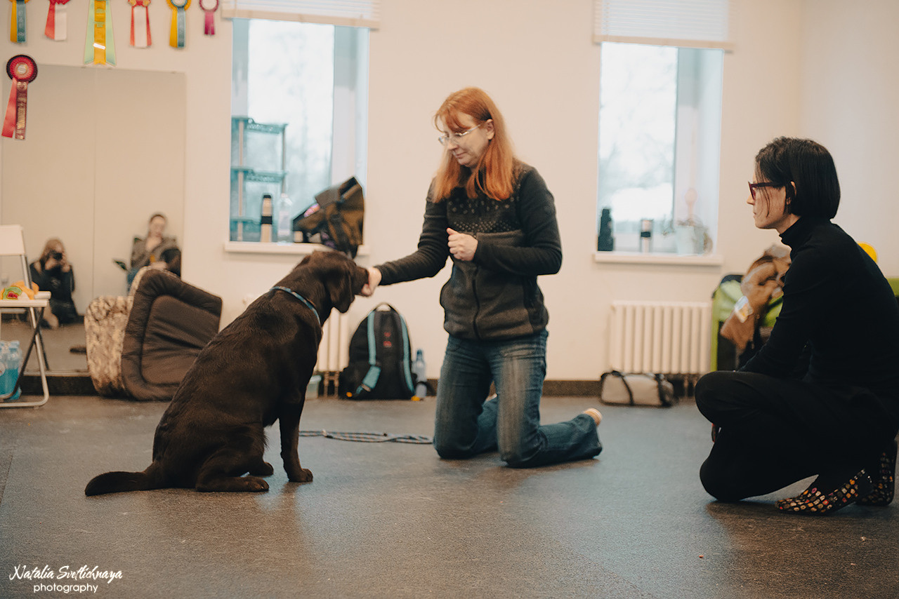 Семинар с Марией Рыбкиной «Игры с собаками» (24.02.2023). Фотограф-анималист Наталья Светличная