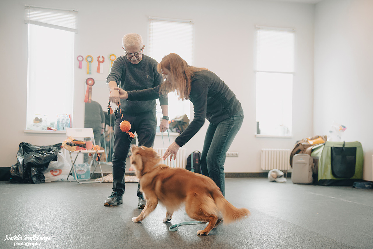 Семинар с Марией Рыбкиной «Игры с собаками» (24.02.2023). Фотограф-анималист Наталья Светличная