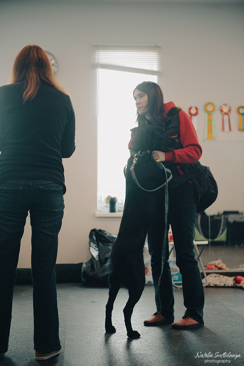 Семинар с Марией Рыбкиной «Игры с собаками» (24.02.2023). Фотограф-анималист Наталья Светличная