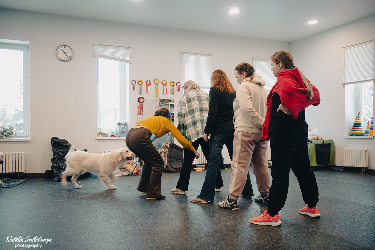 Семинар с Марией Рыбкиной «Игры с собаками» (24.02.2023). Фотограф-анималист Наталья Светличная