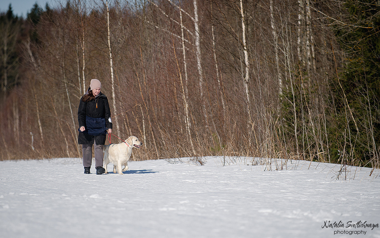 Тренировочный воркинг тест Школы Шмеля 18 марта 2023. Фотограф-анималист Наталья Светличная