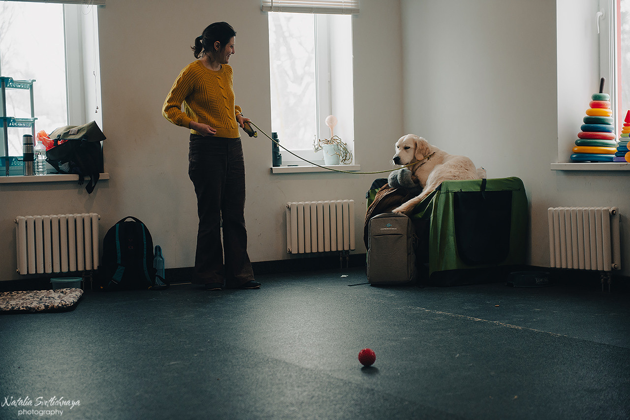 Семинар с Марией Рыбкиной «Игры с собаками» (24.02.2023). Фотограф-анималист Наталья Светличная