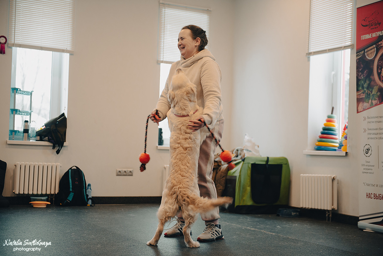 Семинар с Марией Рыбкиной «Игры с собаками» (24.02.2023). Фотограф-анималист Наталья Светличная