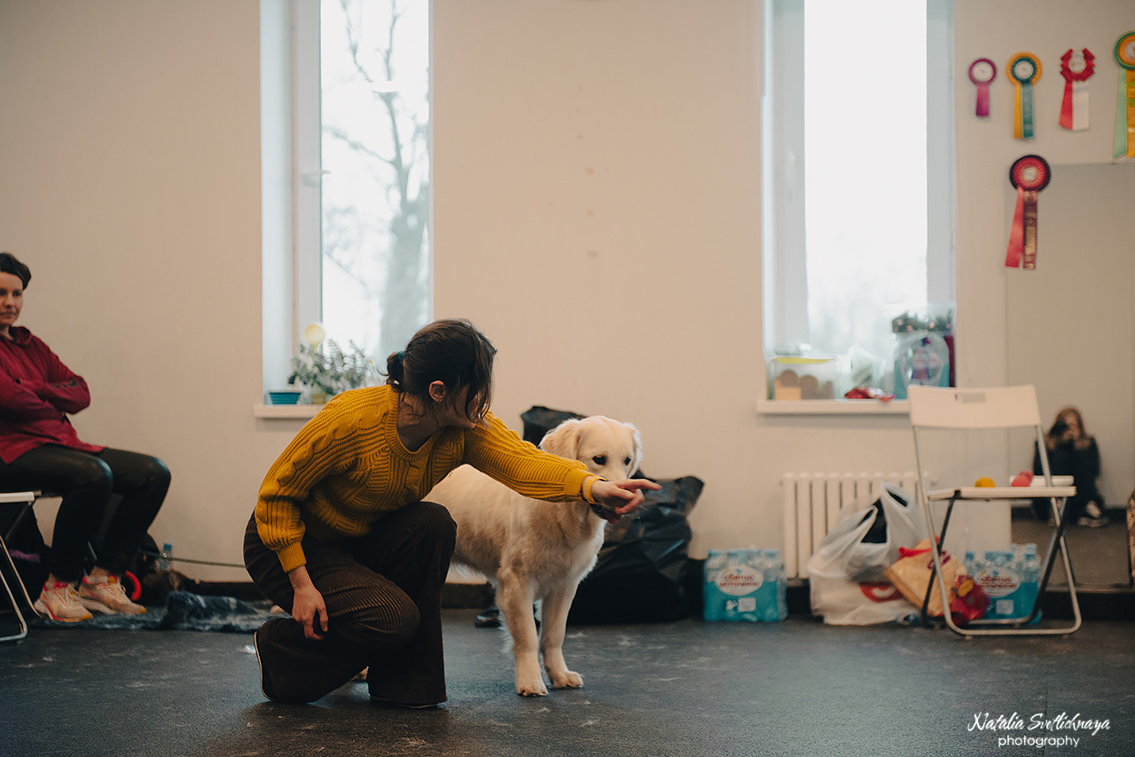 Семинар с Марией Рыбкиной «Игры с собаками» (24.02.2023). Фотограф-анималист Наталья Светличная