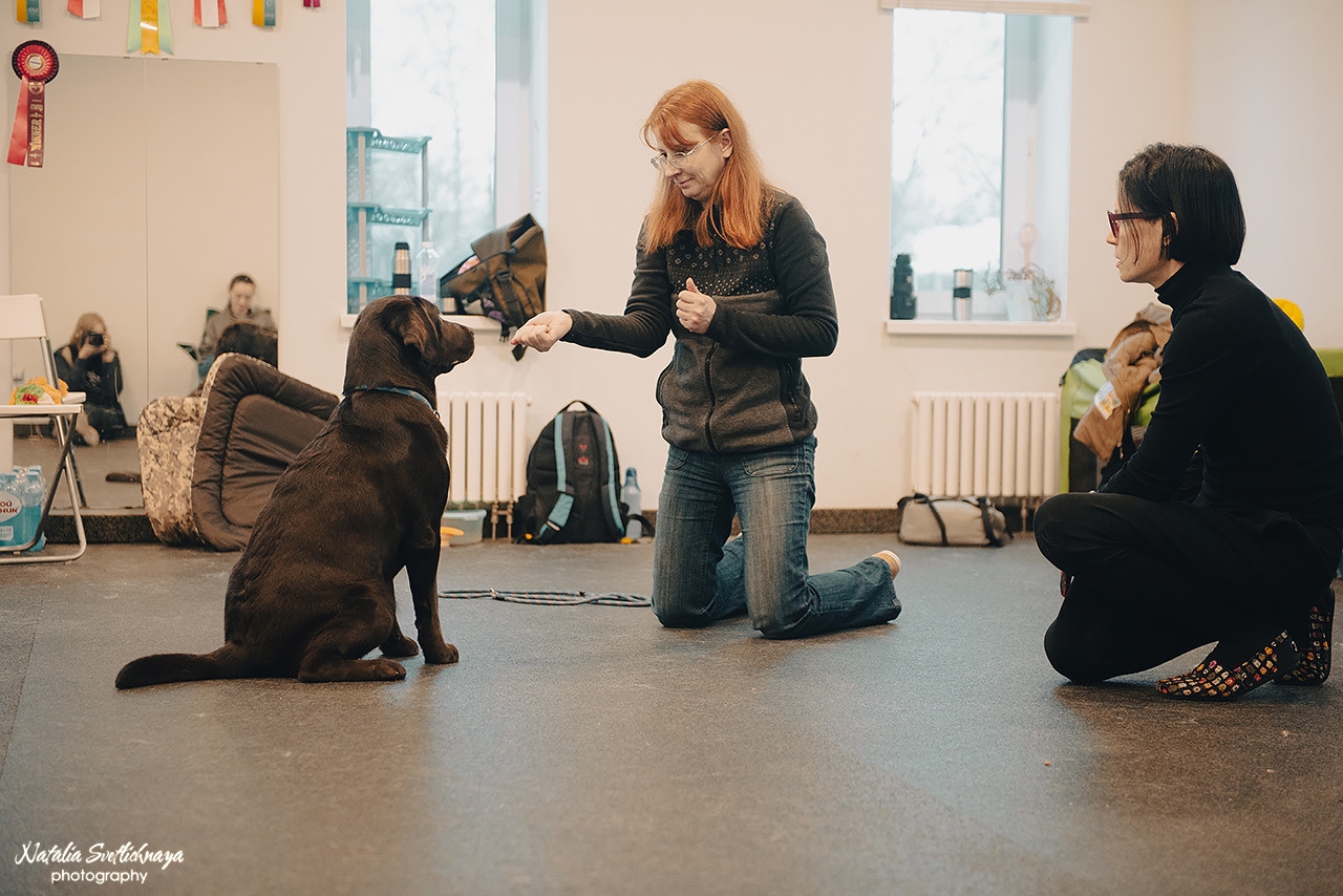 Семинар с Марией Рыбкиной «Игры с собаками» (24.02.2023). Фотограф-анималист Наталья Светличная