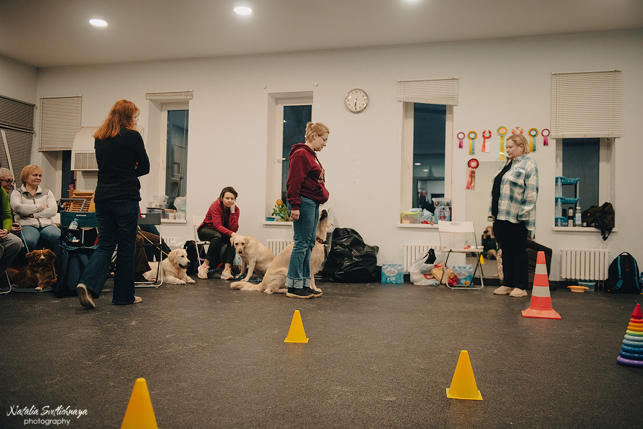 Семинар с Марией Рыбкиной «Игры с собаками» (24.02.2023). Фотограф-анималист Наталья Светличная