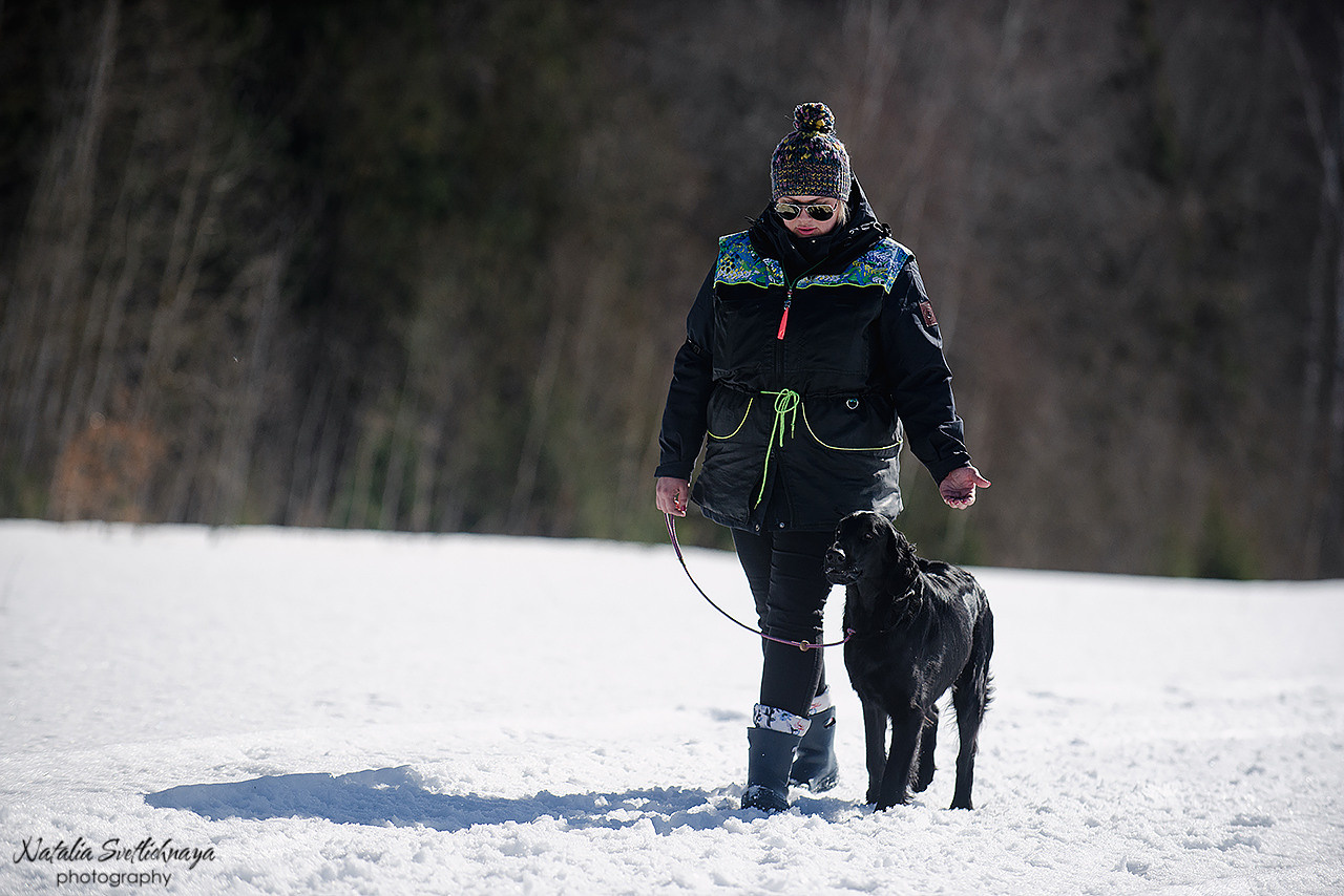 Тренировочный воркинг тест Школы Шмеля 18 марта 2023. Фотограф-анималист Наталья Светличная
