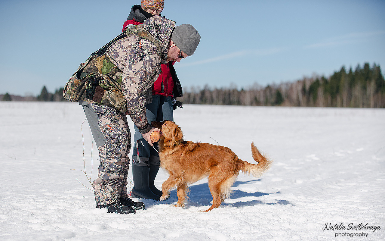 Тренировочный воркинг тест Школы Шмеля 18 марта 2023. Фотограф-анималист Наталья Светличная