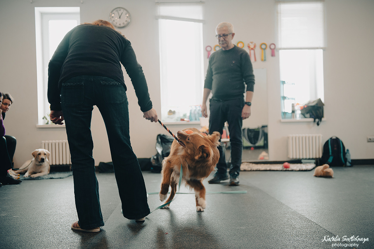 Семинар с Марией Рыбкиной «Игры с собаками» (24.02.2023). Фотограф-анималист Наталья Светличная