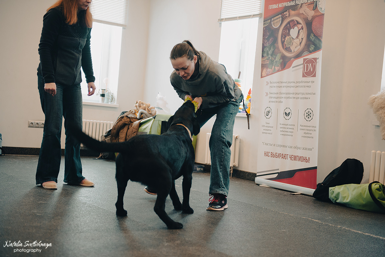 Семинар с Марией Рыбкиной «Игры с собаками» (24.02.2023). Фотограф-анималист Наталья Светличная