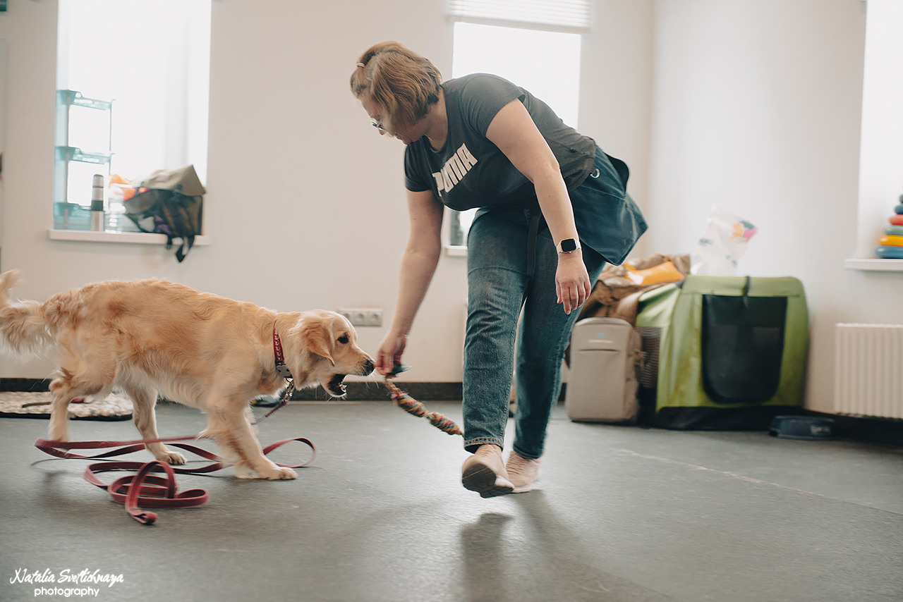Семинар с Марией Рыбкиной «Игры с собаками» (24.02.2023). Фотограф-анималист Наталья Светличная