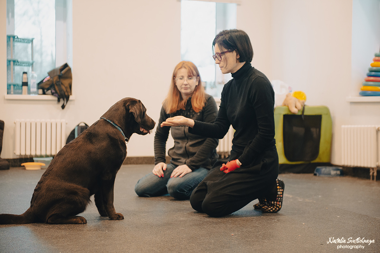Семинар с Марией Рыбкиной «Игры с собаками» (24.02.2023). Фотограф-анималист Наталья Светличная