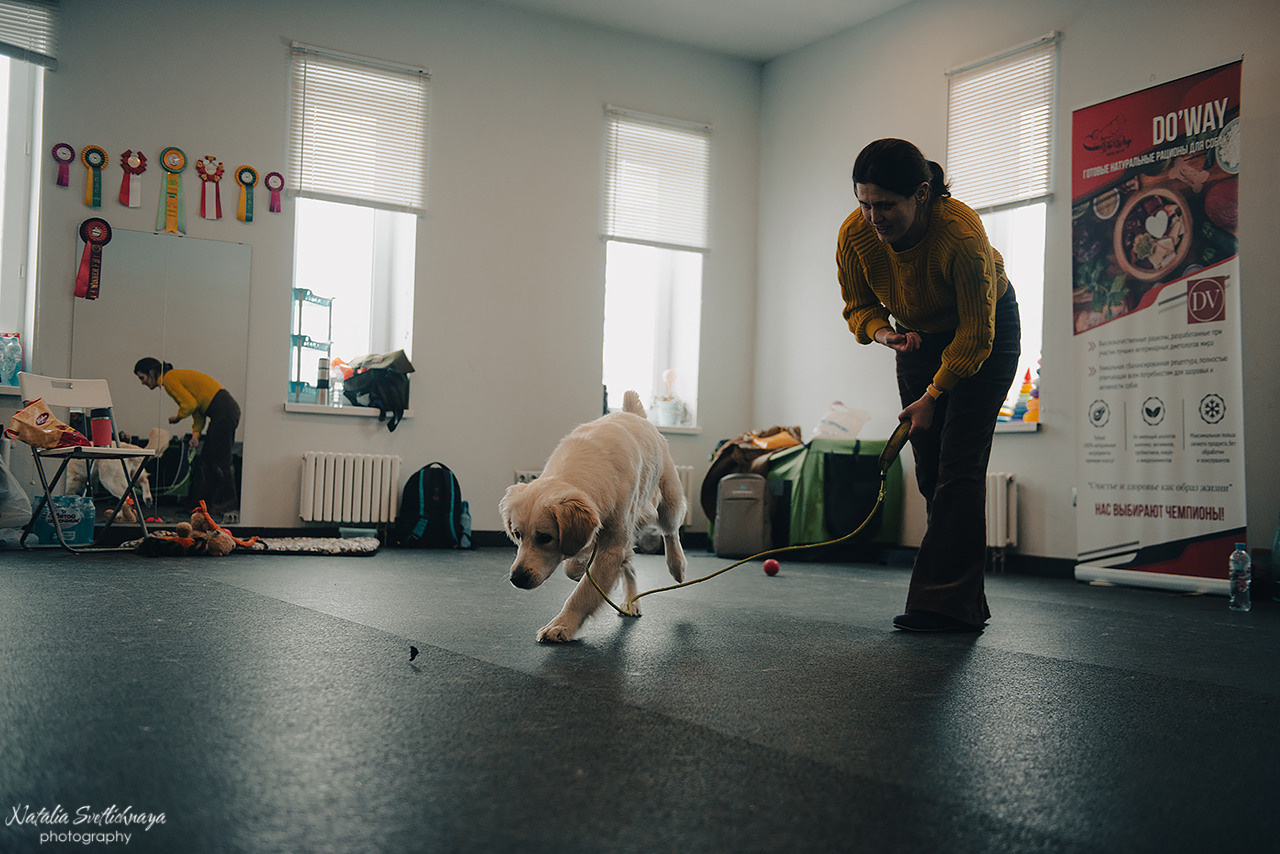 Семинар с Марией Рыбкиной «Игры с собаками» (24.02.2023). Фотограф-анималист Наталья Светличная