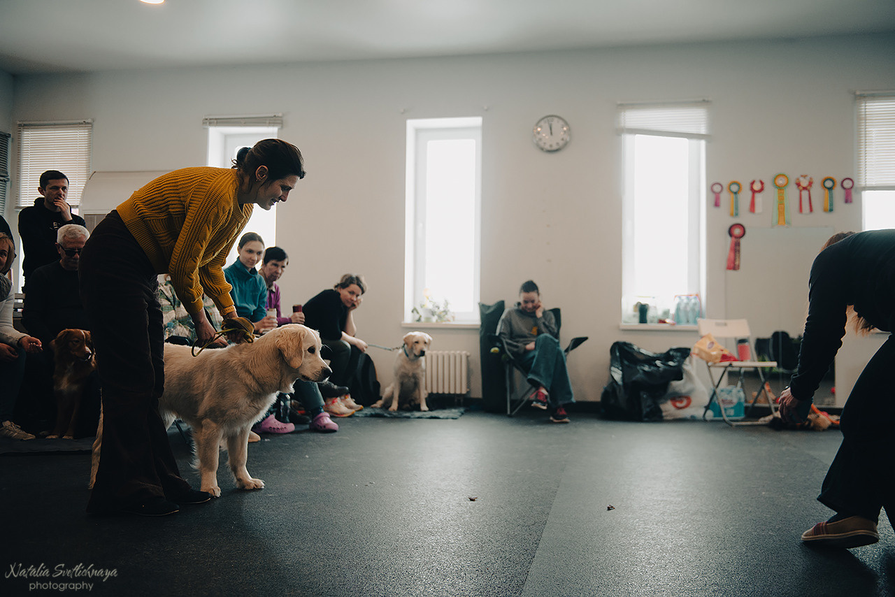 Семинар с Марией Рыбкиной «Игры с собаками» (24.02.2023). Фотограф-анималист Наталья Светличная