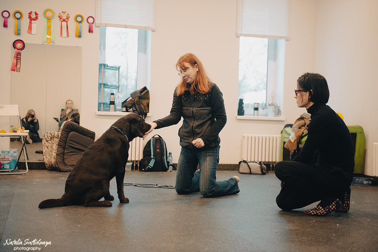 Семинар с Марией Рыбкиной «Игры с собаками» (24.02.2023). Фотограф-анималист Наталья Светличная