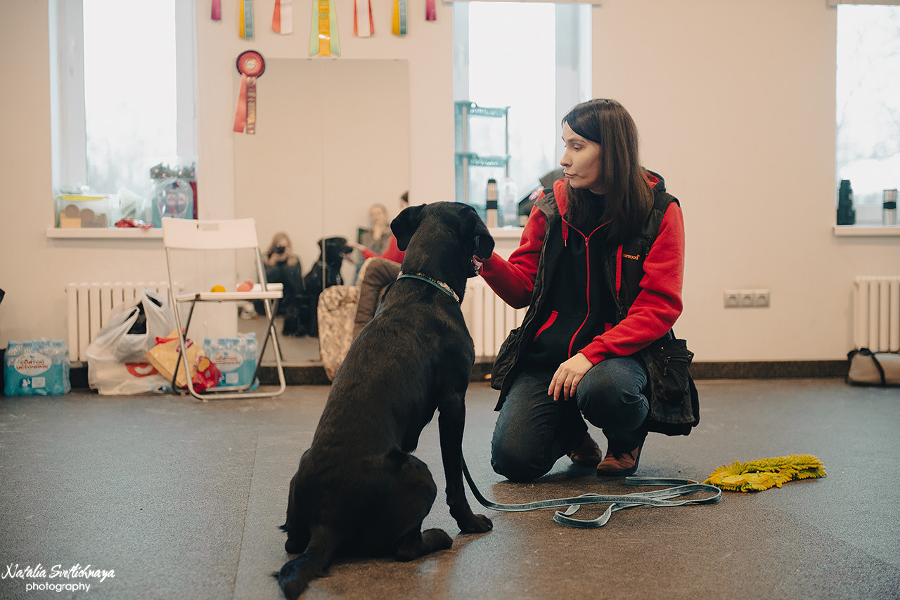 Семинар с Марией Рыбкиной «Игры с собаками» (24.02.2023). Фотограф-анималист Наталья Светличная