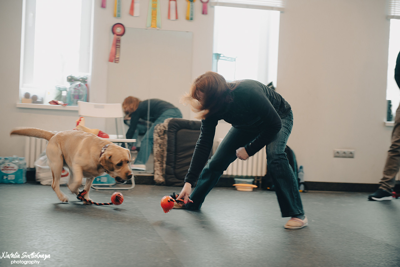 Семинар с Марией Рыбкиной «Игры с собаками» (24.02.2023). Фотограф-анималист Наталья Светличная