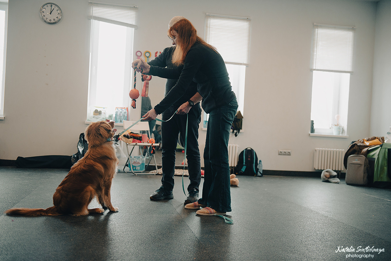 Семинар с Марией Рыбкиной «Игры с собаками» (24.02.2023). Фотограф-анималист Наталья Светличная