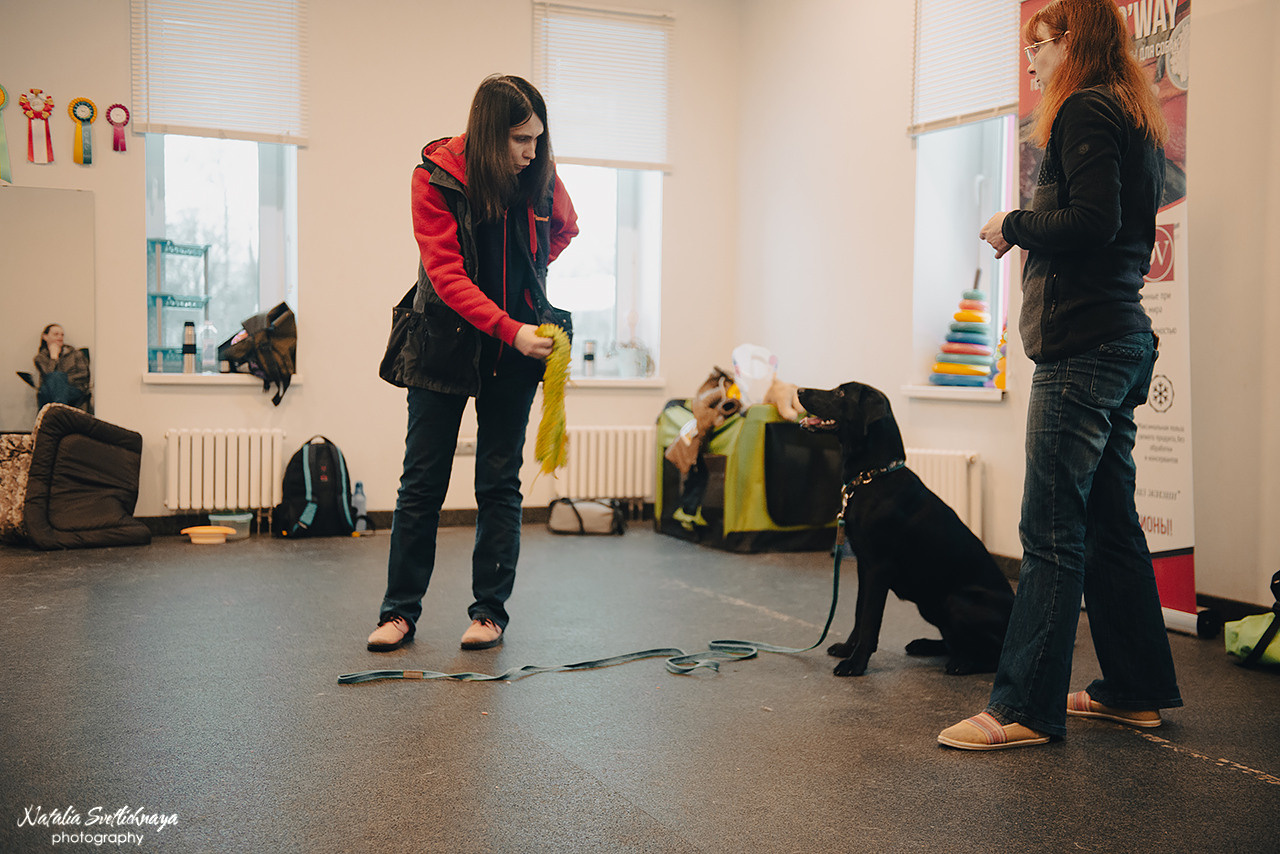 Семинар с Марией Рыбкиной «Игры с собаками» (24.02.2023). Фотограф-анималист Наталья Светличная
