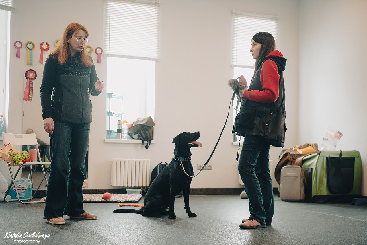 Семинар с Марией Рыбкиной «Игры с собаками» (24.02.2023). Фотограф-анималист Наталья Светличная