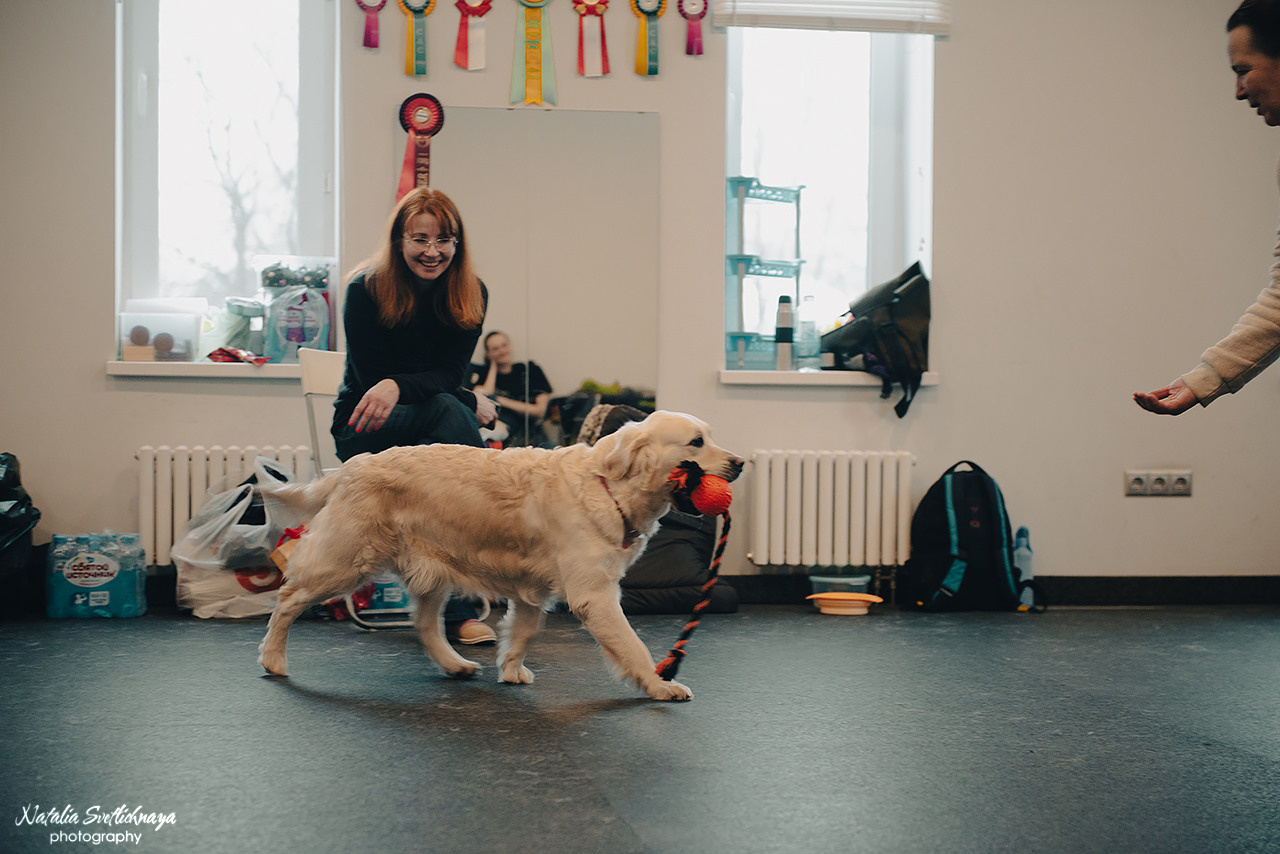 Семинар с Марией Рыбкиной «Игры с собаками» (24.02.2023). Фотограф-анималист Наталья Светличная
