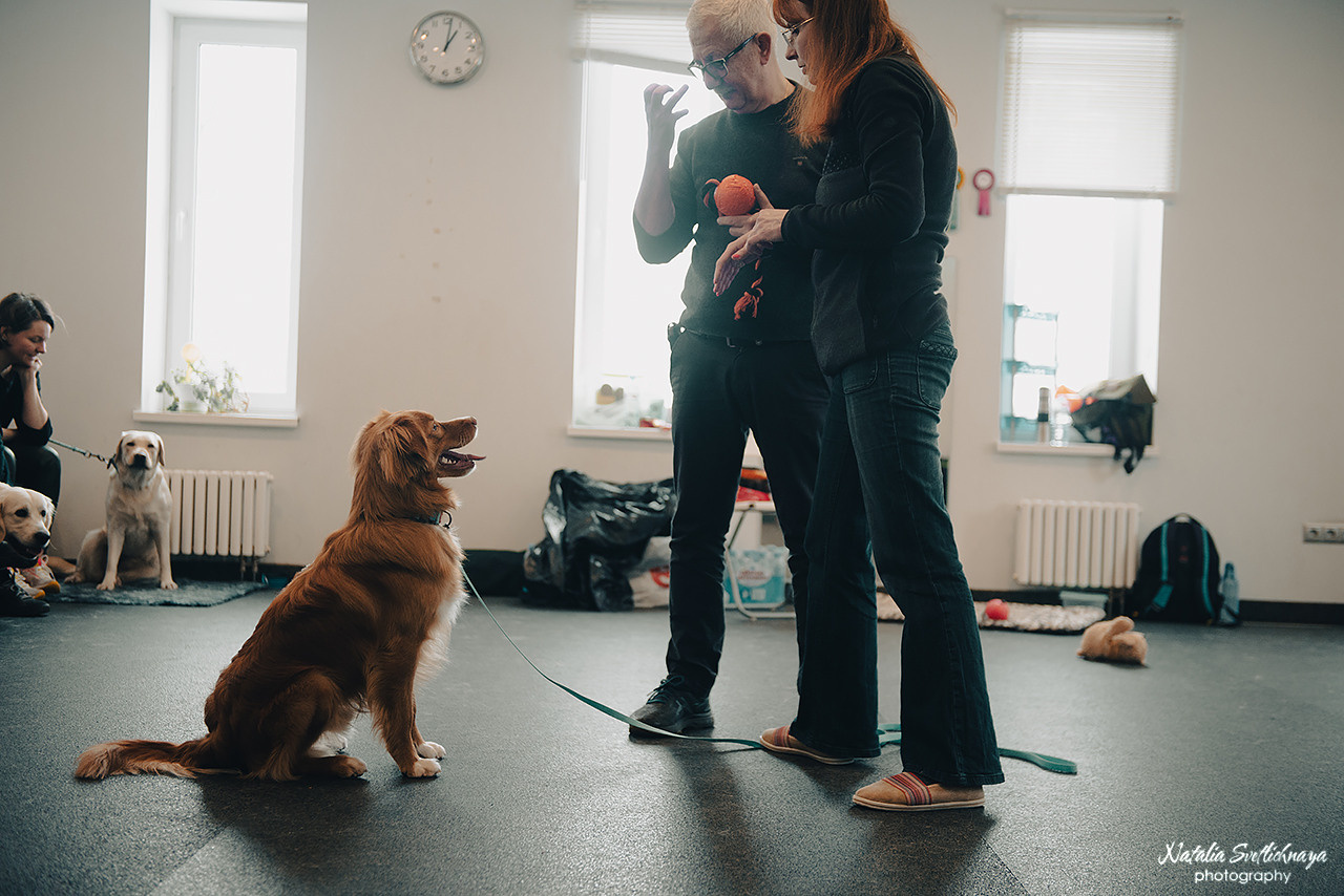 Семинар с Марией Рыбкиной «Игры с собаками» (24.02.2023). Фотограф-анималист Наталья Светличная