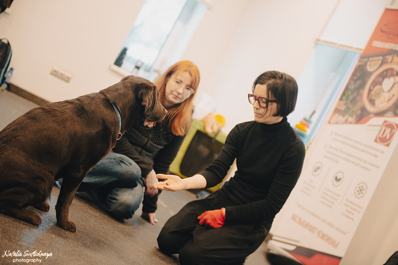Семинар с Марией Рыбкиной «Игры с собаками» (24.02.2023). Фотограф-анималист Наталья Светличная