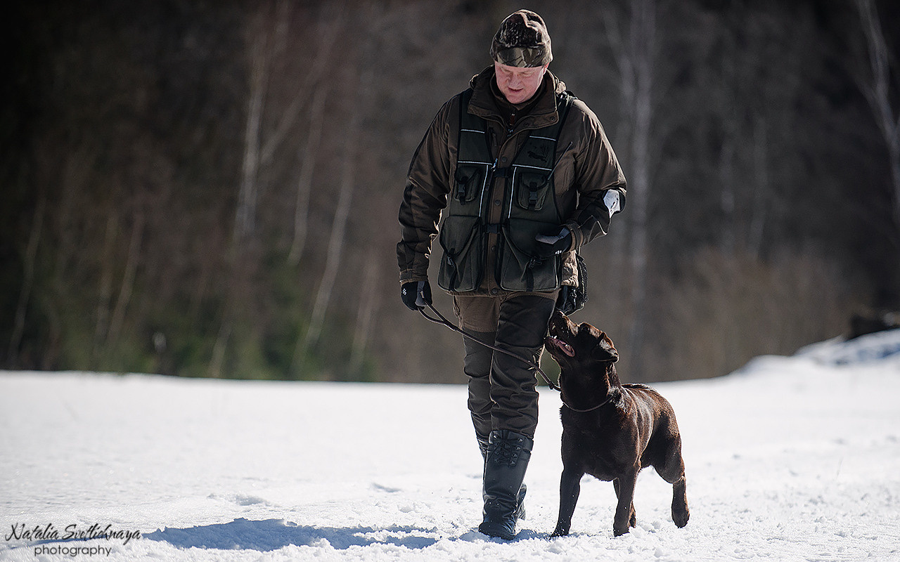 Тренировочный воркинг тест Школы Шмеля 18 марта 2023. Фотограф-анималист Наталья Светличная