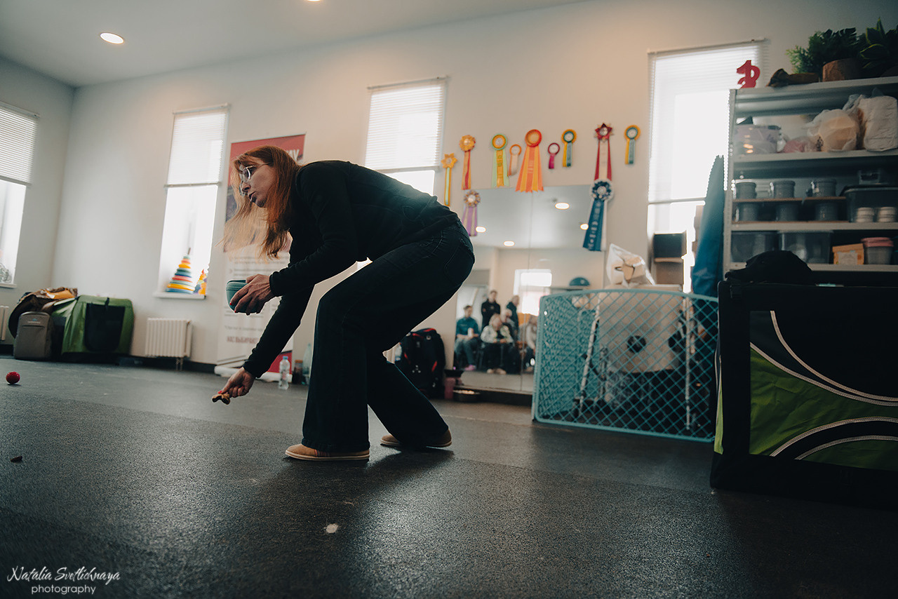 Семинар с Марией Рыбкиной «Игры с собаками» (24.02.2023). Фотограф-анималист Наталья Светличная