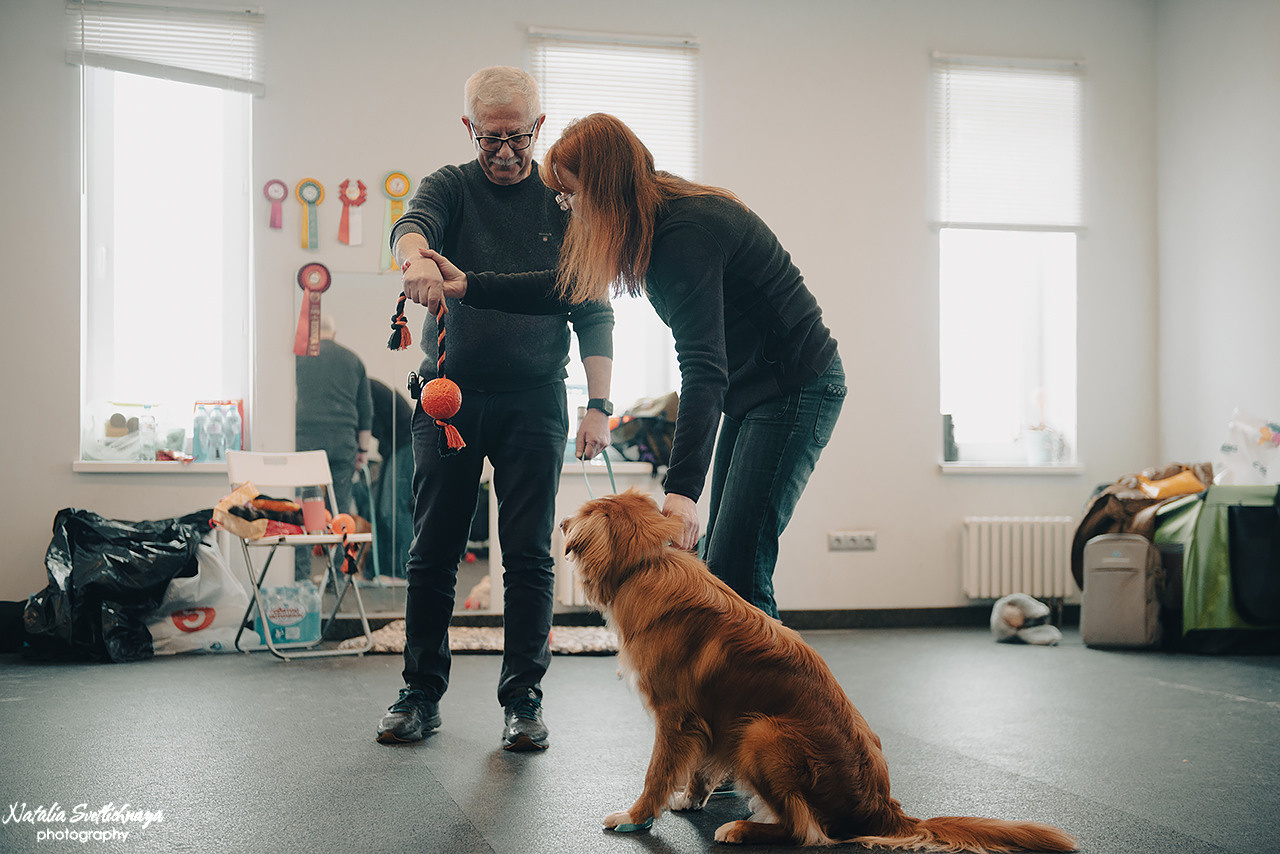 Семинар с Марией Рыбкиной «Игры с собаками» (24.02.2023). Фотограф-анималист Наталья Светличная