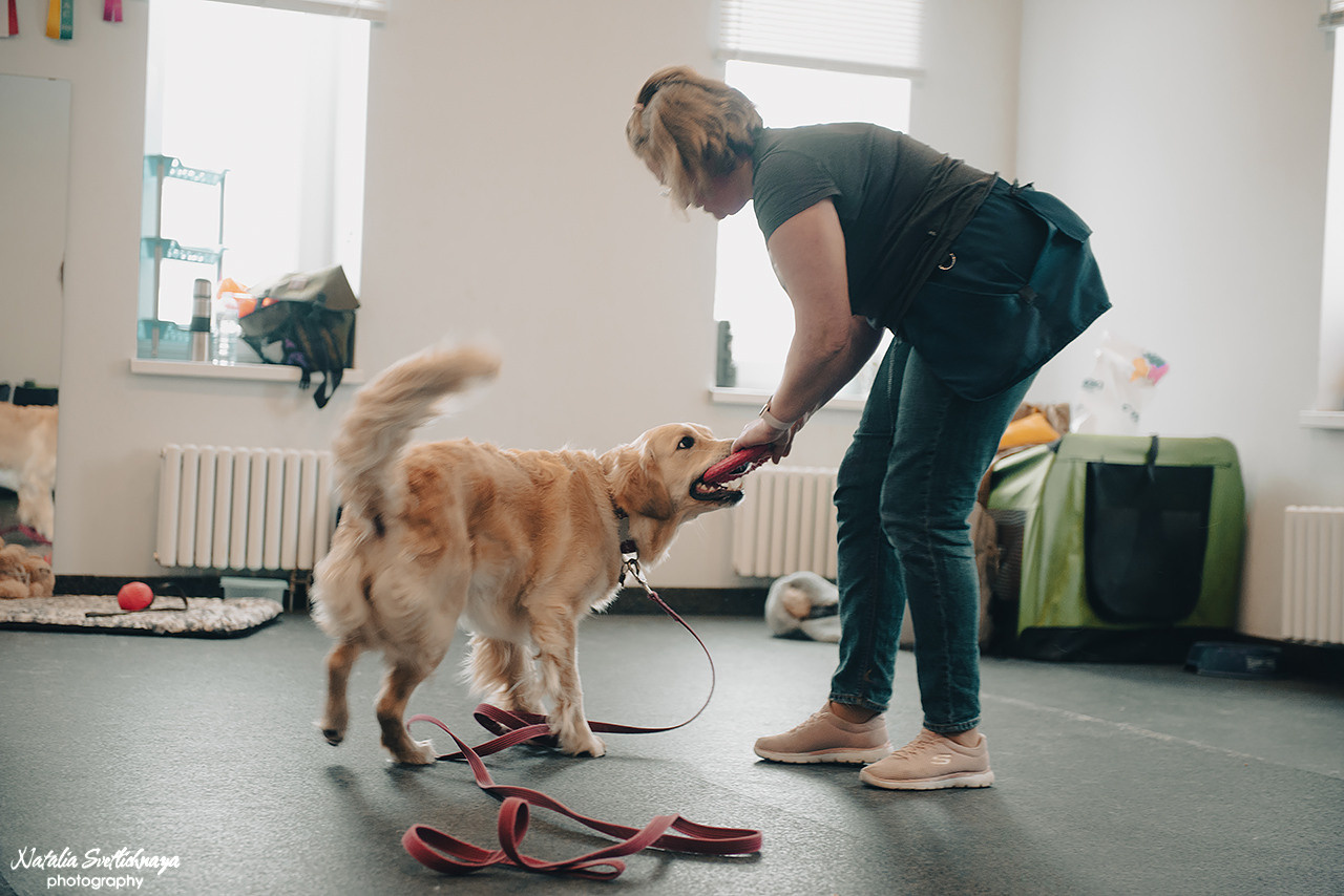 Семинар с Марией Рыбкиной «Игры с собаками» (24.02.2023). Фотограф-анималист Наталья Светличная
