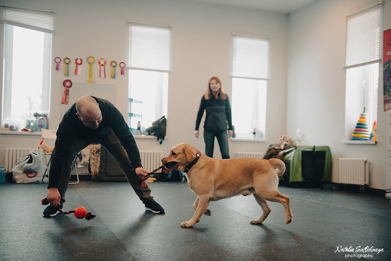 Семинар с Марией Рыбкиной «Игры с собаками» (24.02.2023). Фотограф-анималист Наталья Светличная