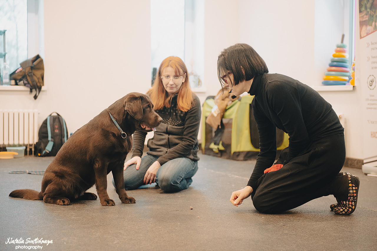 Семинар с Марией Рыбкиной «Игры с собаками» (24.02.2023). Фотограф-анималист Наталья Светличная