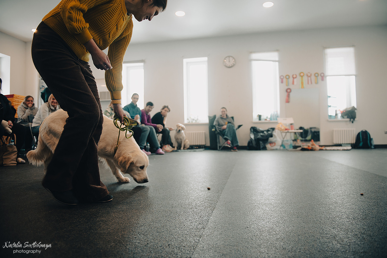 Семинар с Марией Рыбкиной «Игры с собаками» (24.02.2023). Фотограф-анималист Наталья Светличная