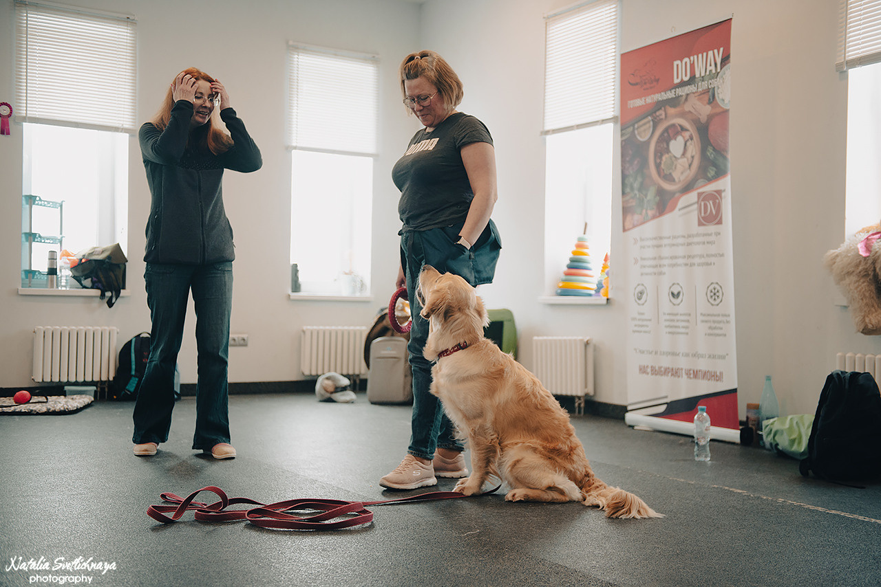 Семинар с Марией Рыбкиной «Игры с собаками» (24.02.2023). Фотограф-анималист Наталья Светличная