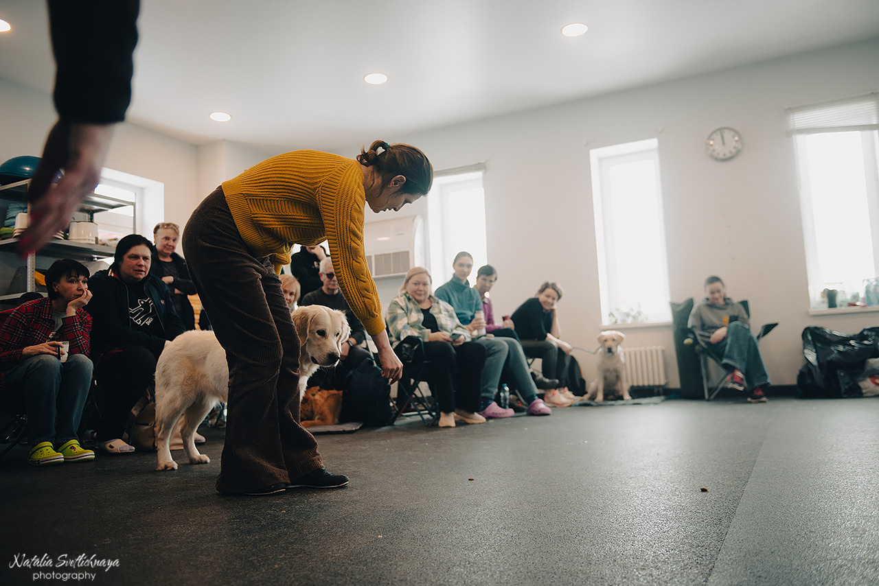 Семинар с Марией Рыбкиной «Игры с собаками» (24.02.2023). Фотограф-анималист Наталья Светличная