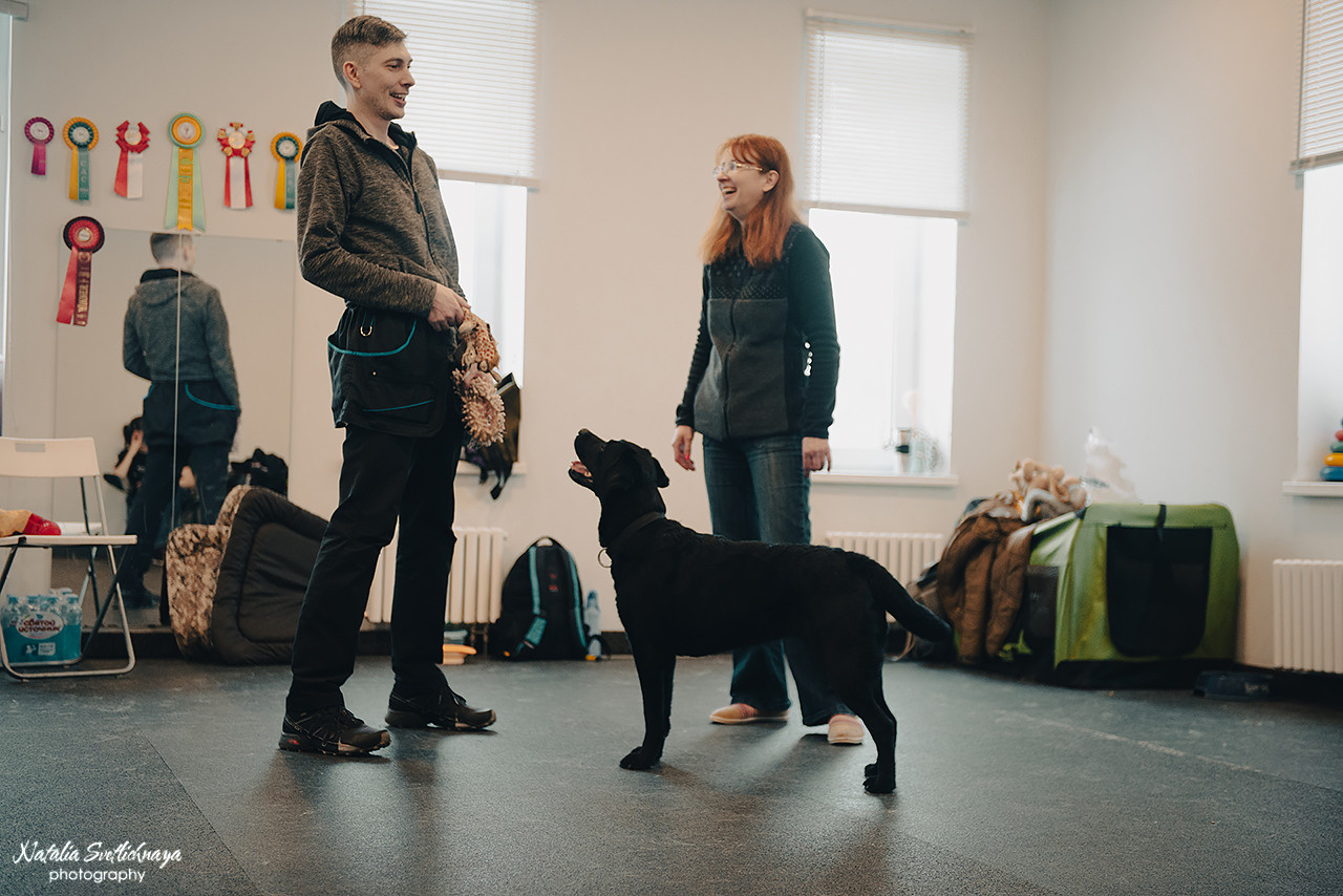 Семинар с Марией Рыбкиной «Игры с собаками» (24.02.2023). Фотограф-анималист Наталья Светличная