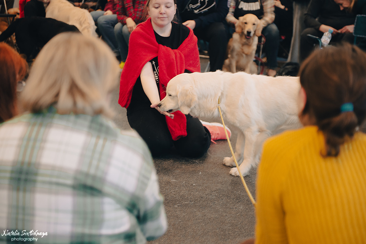 Семинар с Марией Рыбкиной «Игры с собаками» (24.02.2023). Фотограф-анималист Наталья Светличная