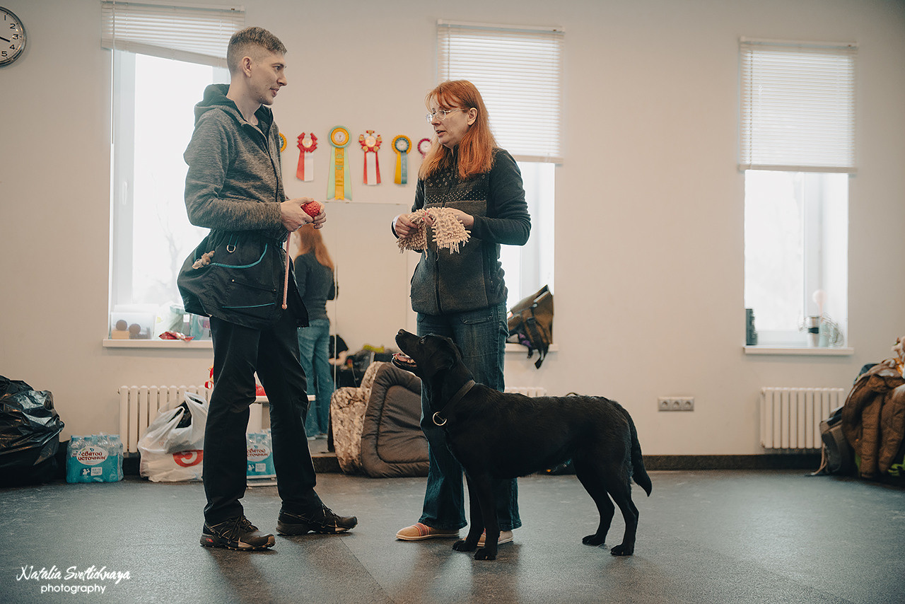 Семинар с Марией Рыбкиной «Игры с собаками» (24.02.2023). Фотограф-анималист Наталья Светличная