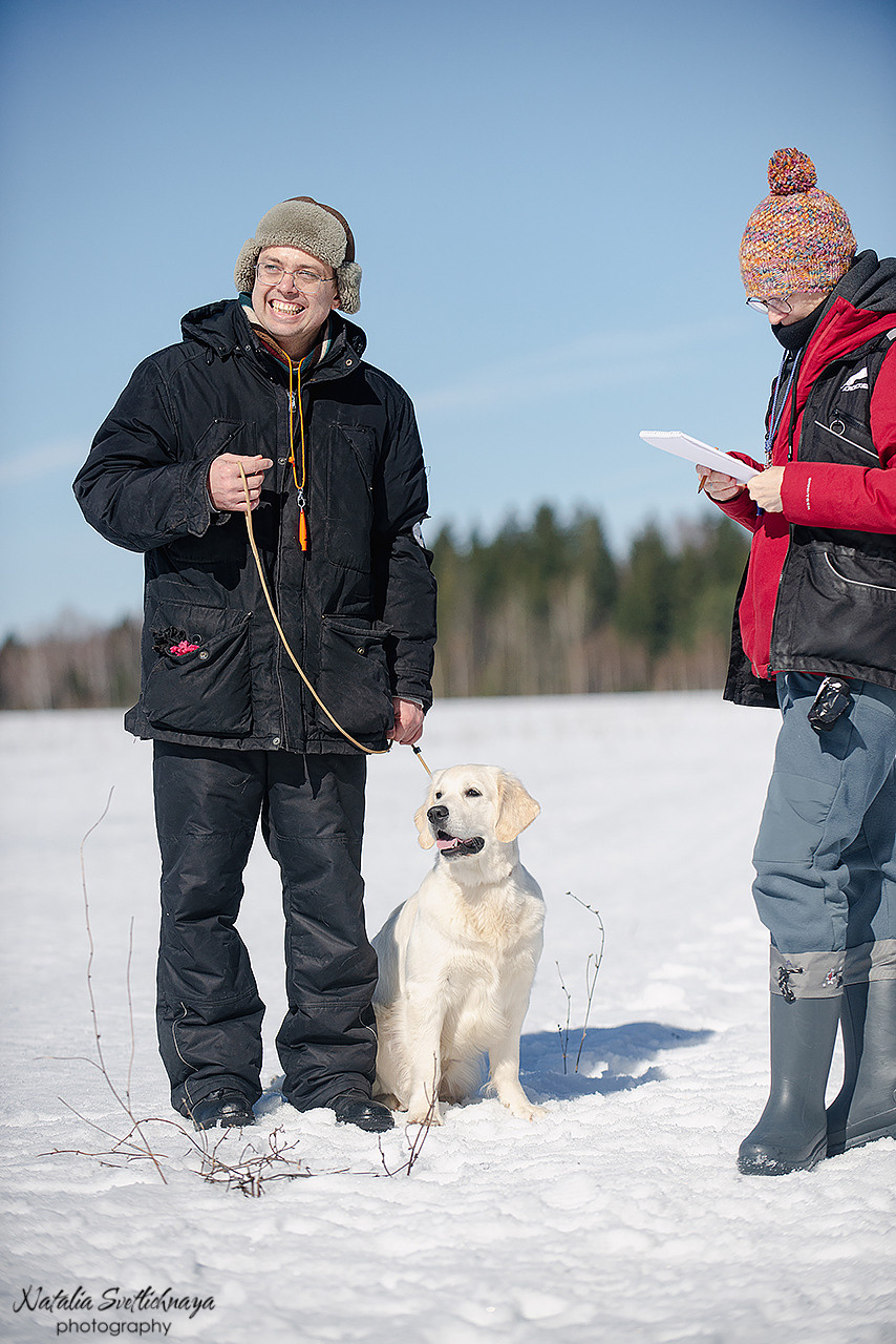 Тренировочный воркинг тест Школы Шмеля 18 марта 2023. Фотограф-анималист Наталья Светличная