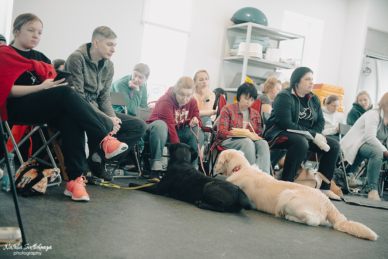 Семинар с Марией Рыбкиной «Игры с собаками» (24.02.2023). Фотограф-анималист Наталья Светличная