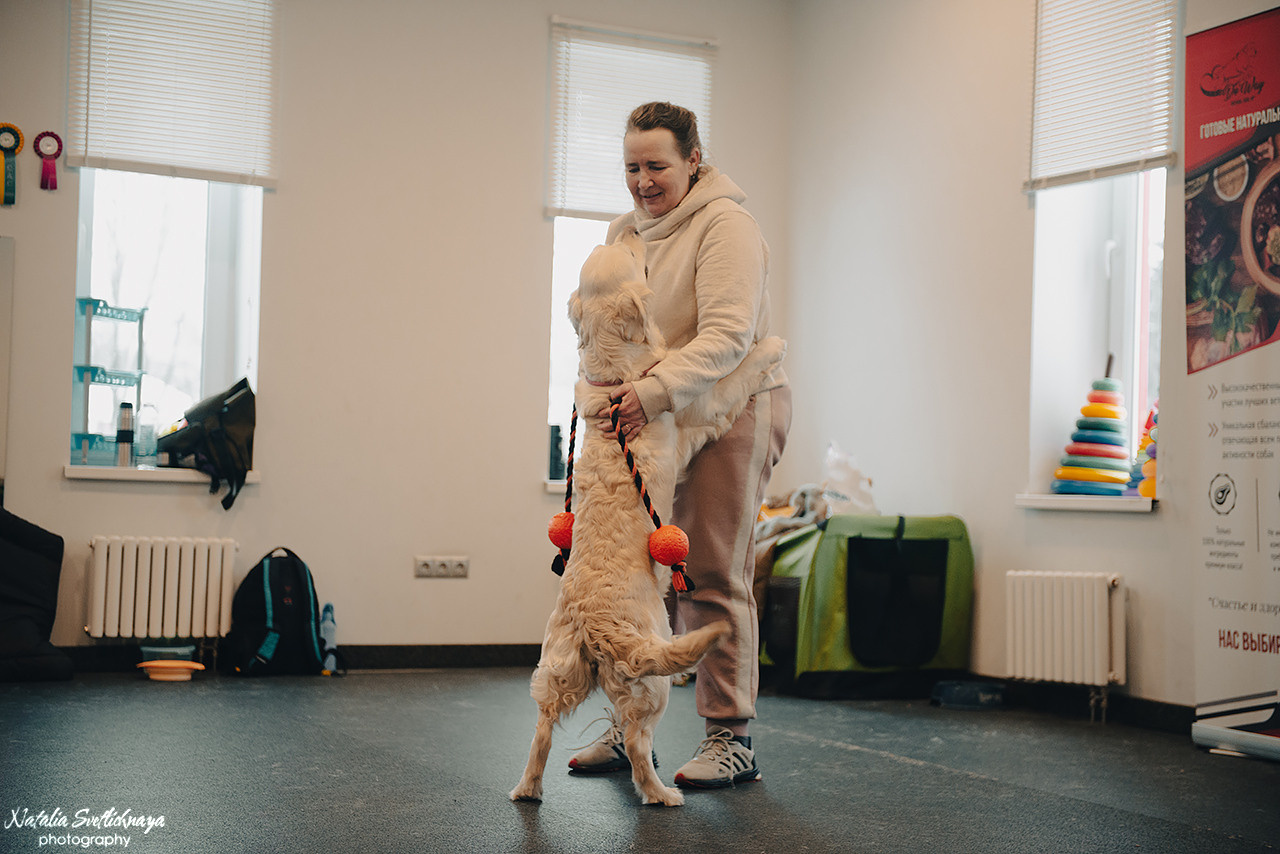 Семинар с Марией Рыбкиной «Игры с собаками» (24.02.2023). Фотограф-анималист Наталья Светличная
