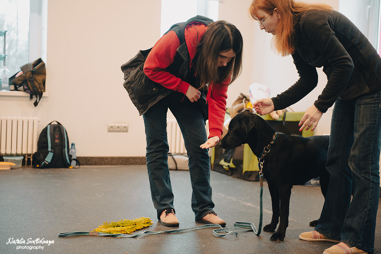 Семинар с Марией Рыбкиной «Игры с собаками» (24.02.2023). Фотограф-анималист Наталья Светличная