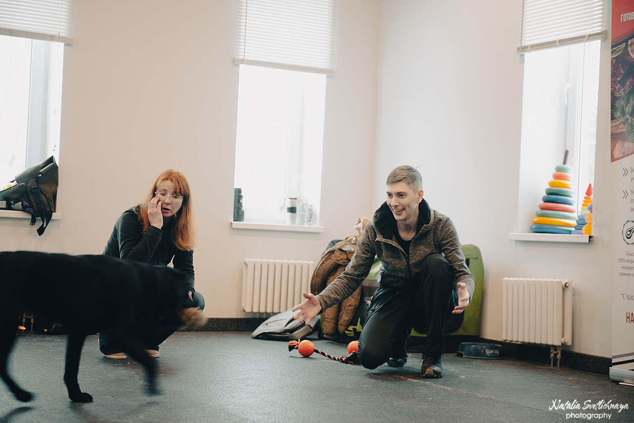 Семинар с Марией Рыбкиной «Игры с собаками» (24.02.2023). Фотограф-анималист Наталья Светличная