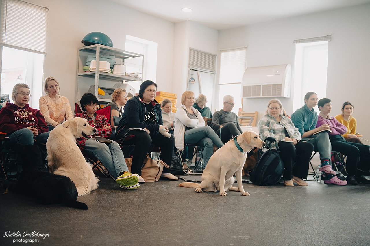 Семинар с Марией Рыбкиной «Игры с собаками» (24.02.2023). Фотограф-анималист Наталья Светличная