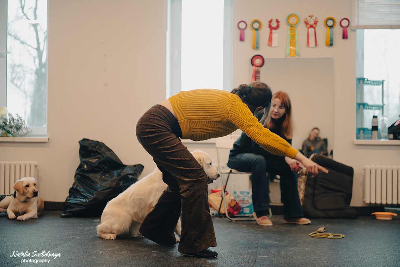 Семинар с Марией Рыбкиной «Игры с собаками» (24.02.2023). Фотограф-анималист Наталья Светличная