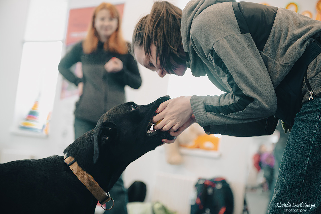 Семинар с Марией Рыбкиной «Игры с собаками» (24.02.2023). Фотограф-анималист Наталья Светличная