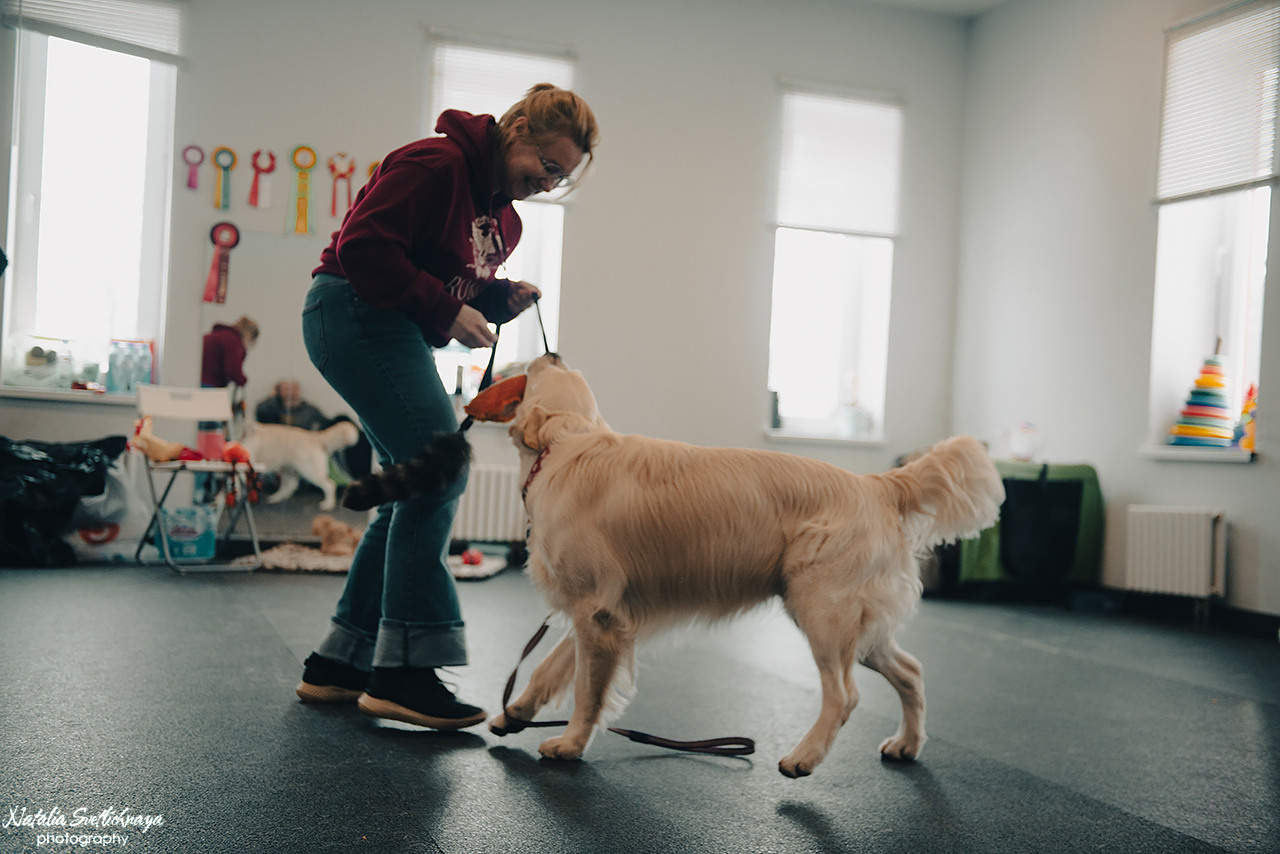 Семинар с Марией Рыбкиной «Игры с собаками» (24.02.2023). Фотограф-анималист Наталья Светличная