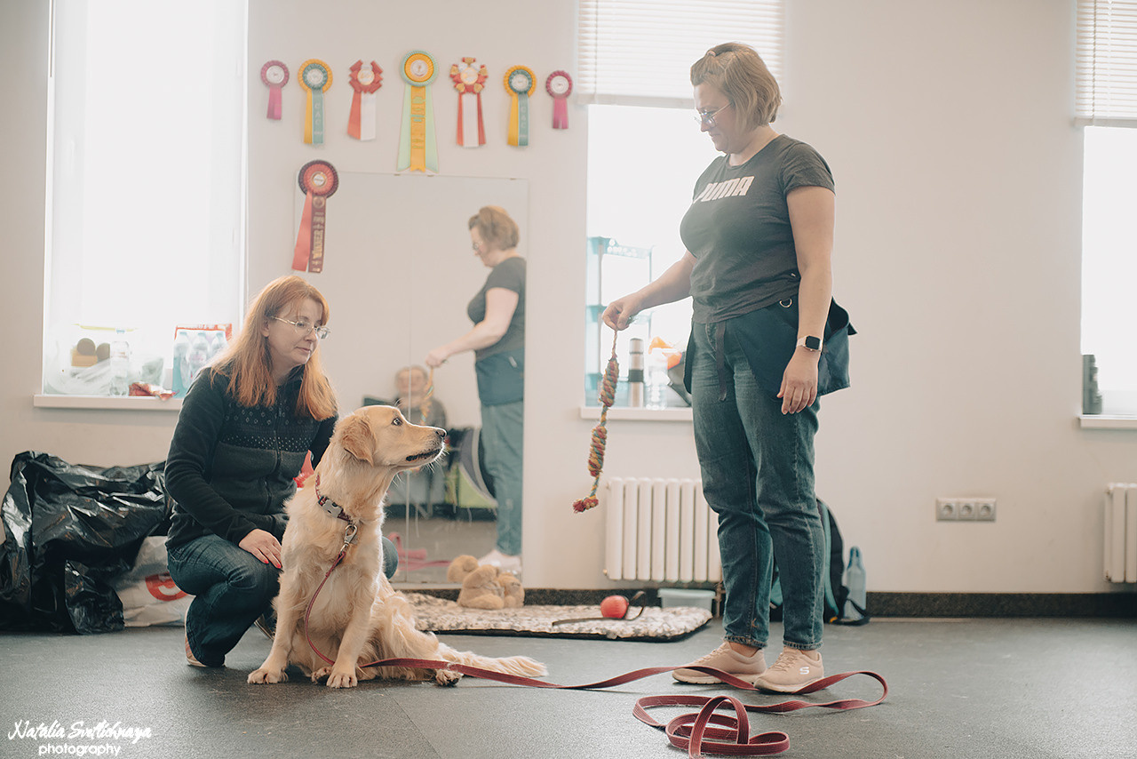 Семинар с Марией Рыбкиной «Игры с собаками» (24.02.2023). Фотограф-анималист Наталья Светличная